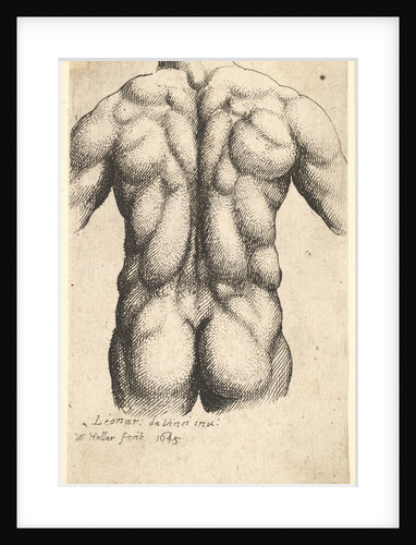 Naked male torso seen from behind, 1645 by Wenceslaus Hollar