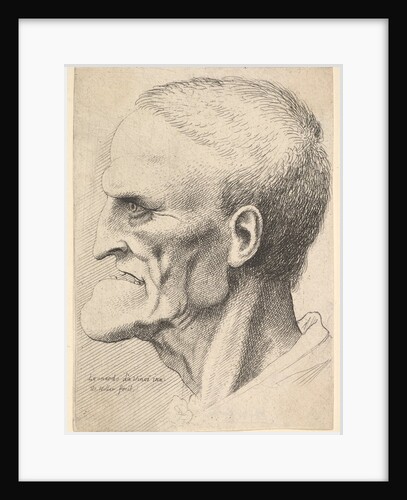 Head of an old man with a pronounced chin, short cropped hair and gaping mouth showing …, 1625-77 by Wenceslaus Hollar