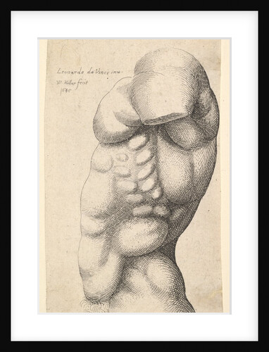 Male torso from neck to hip in profile to left, 1645 by Wenceslaus Hollar