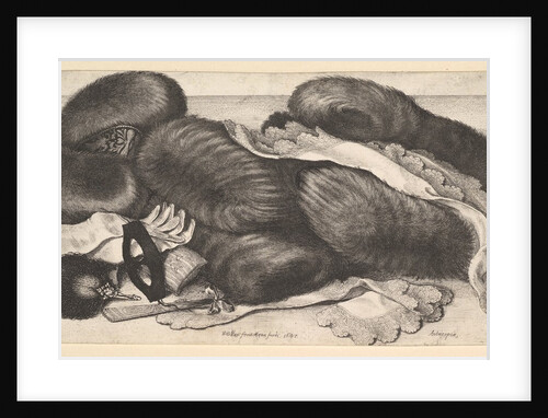 Still-life with a group of muffs, a pair of gloves, fans, mask and two kerchiefs, 1647 by Wenceslaus Hollar