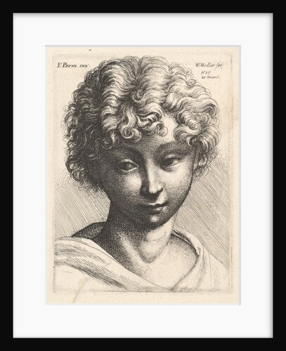 Head of a young girl, 1645 by Wenceslaus Hollar