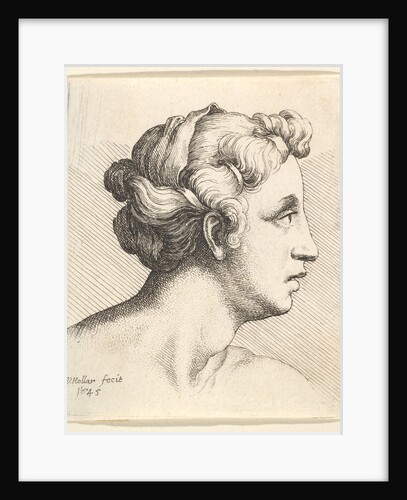 Woman with a bound tress of hair in profile to right, 1645 by Wenceslaus Hollar