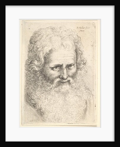 Head of an old man with a large beard, 1645 by Wenceslaus Hollar