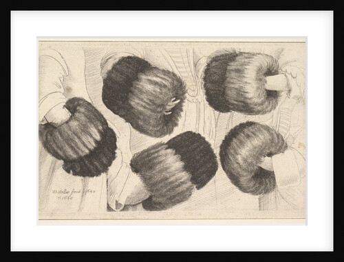 A Muff in Five Views, 1645-46 by Wenceslaus Hollar