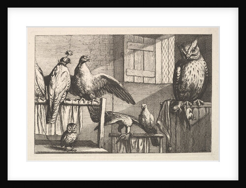 Hawks and owls, 1625-77 by Wenceslaus Hollar