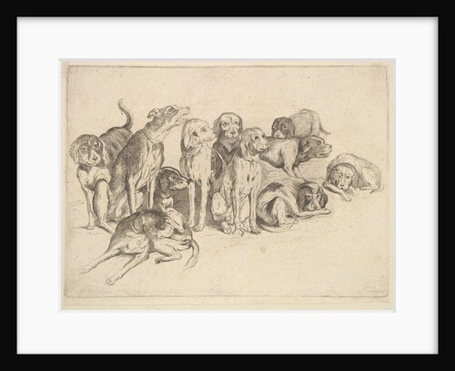 Eleven Hounds, 1625-77 by Wenceslaus Hollar