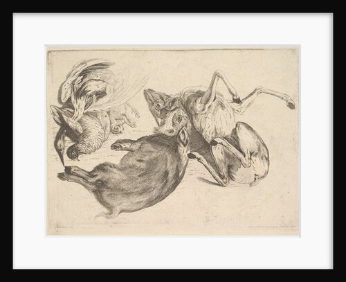 Boar, deer, heron and other game, 1625-77 by Wenceslaus Hollar