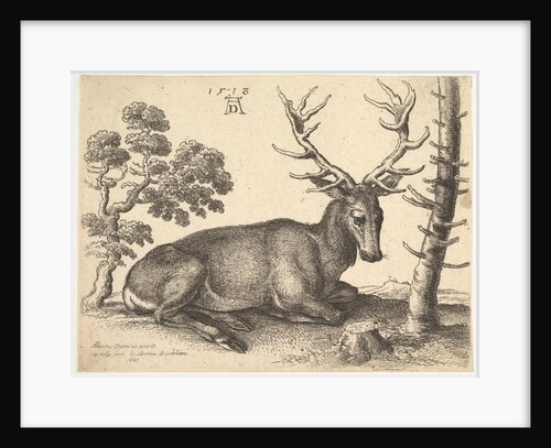 Stag lying to right, 1649 by Wenceslaus Hollar