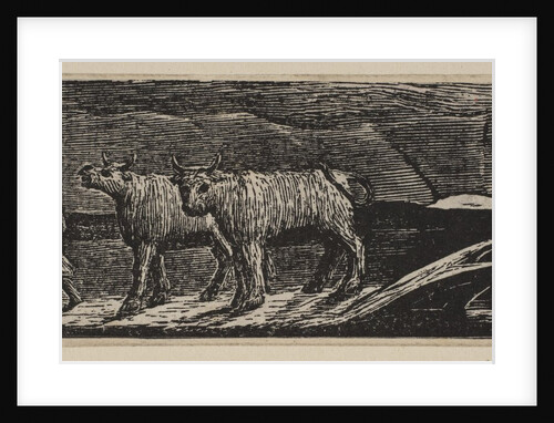 Unyok'd Heifers, Loitering Homeward, from Thornton's Pastorals of Virgil, 1821 by William Blake