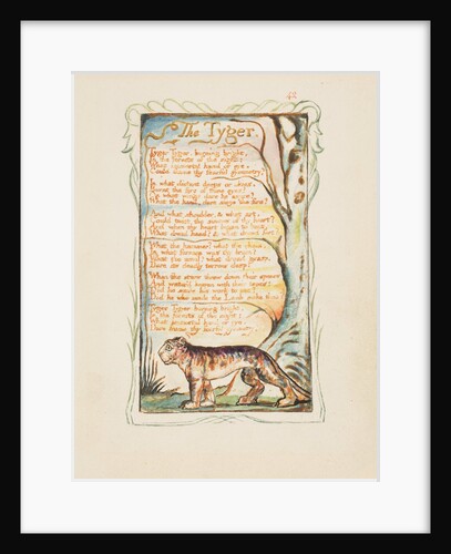 Songs of Innocence and of Experience: The Tyger, ca. 1825 by William Blake