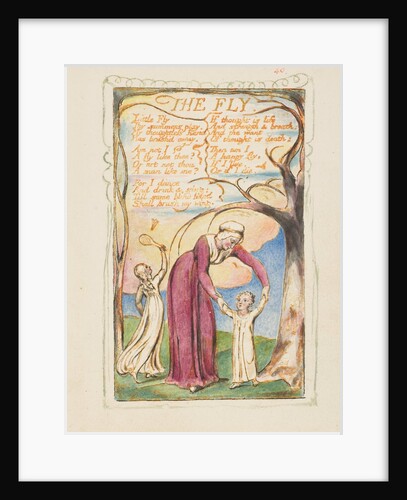 Songs of Innocence and of Experience: The Fly, ca. 1825 by William Blake