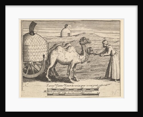 Two Dromedarie by William Hogarth