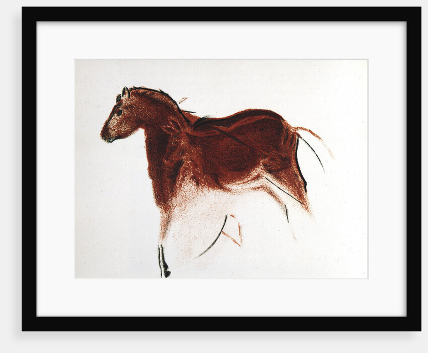 Horse and Hind, Palaeolithic cave painting from Altamira, southern Spain, c16,000-c9000 BC by Unknown
