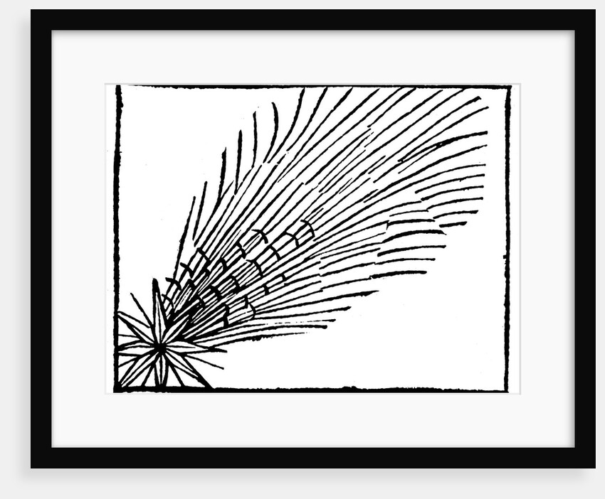 Comet of 684 (Halley), 1493 by Unknown