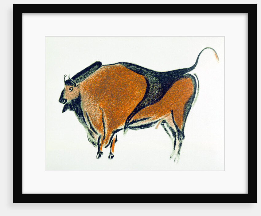 Bison, copy of a Palaeolithic cave painting at Altamira, northern Spain, 1913 by Unknown