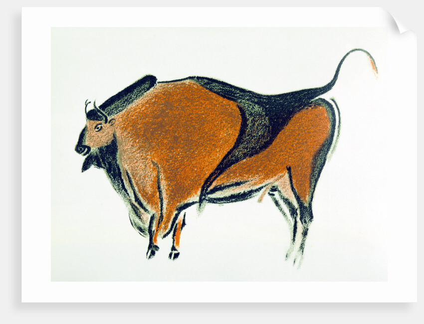 Bison, copy of a Palaeolithic cave painting at Altamira, northern Spain, 1913 by Unknown
