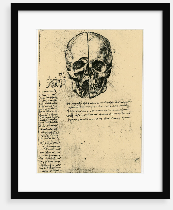 Anatomical sketch of a human skull, c1472-1519 by Leonardo da Vinci