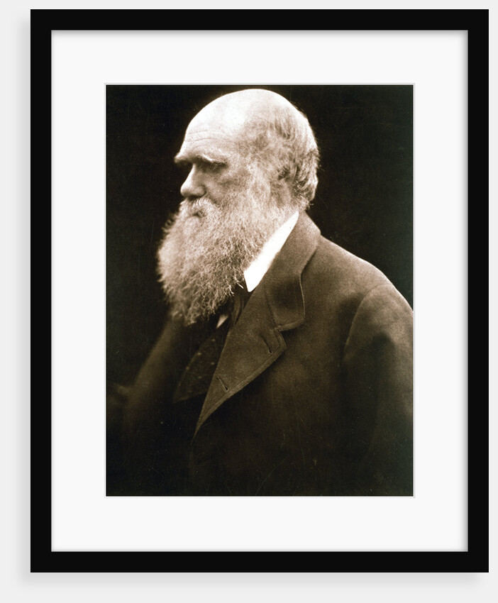 Charles Darwin, British naturalist, c1870s by Julia Margaret Cameron