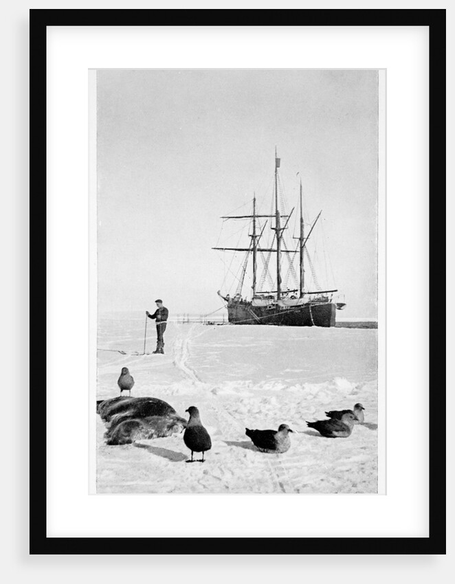 The Fram in the Bay of Whales, Antarctica, 1911-1912 by Unknown