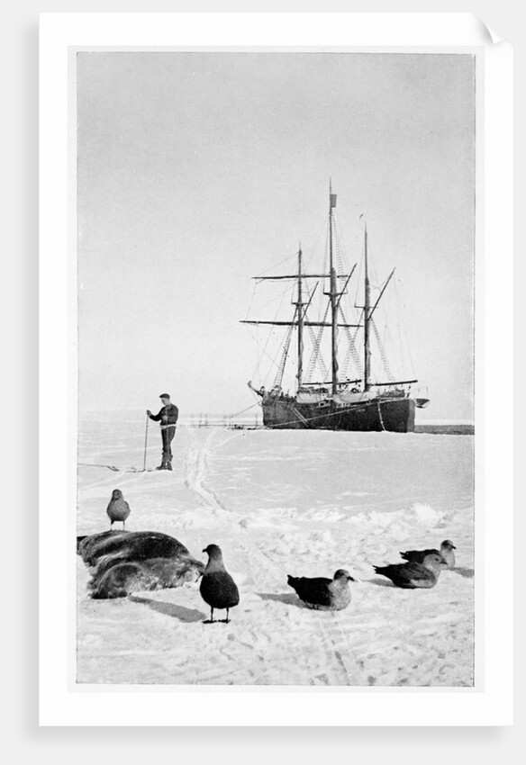 The Fram in the Bay of Whales, Antarctica, 1911-1912 by Unknown