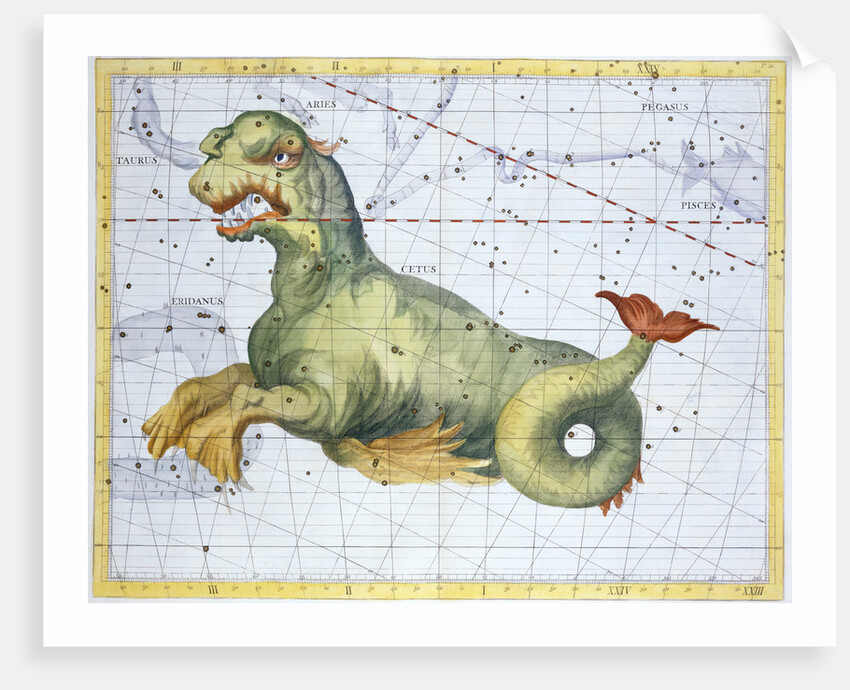 Constellation of Cetus (the Whale), 1729 by Unknown