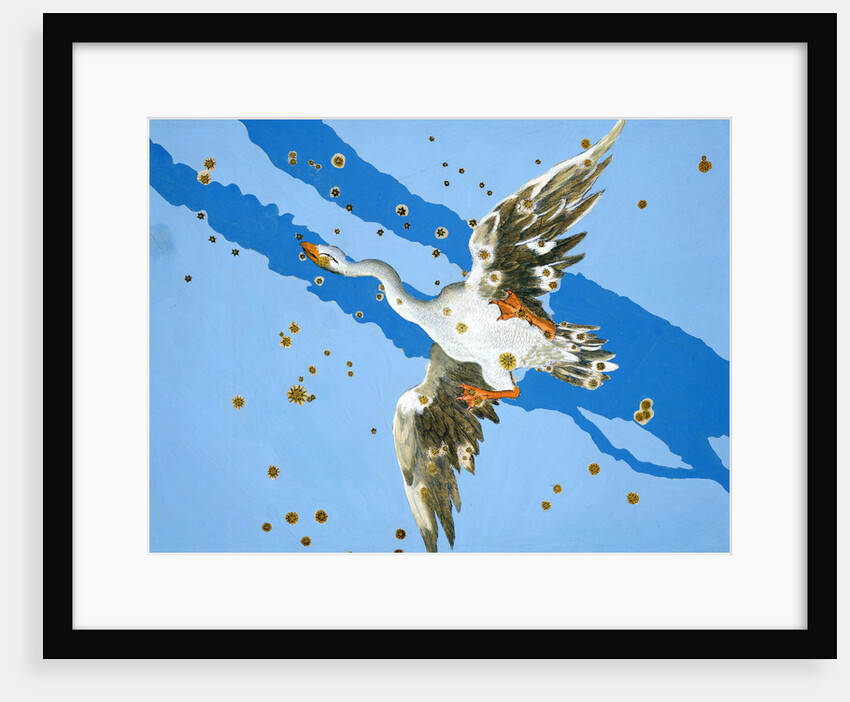 Constellation of Pisces, 1603 by Alexander Mair