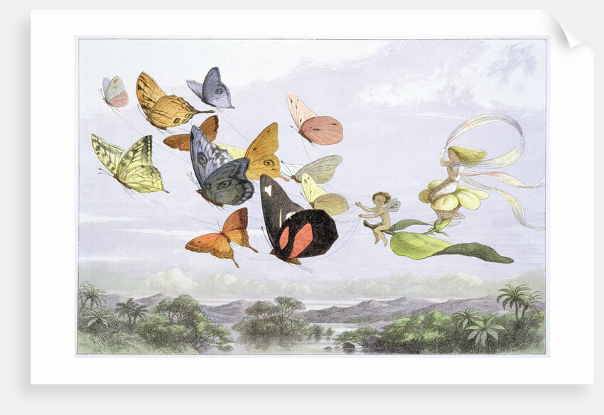 The Fairy Queen's Carriage, c1870 by Richard Doyle