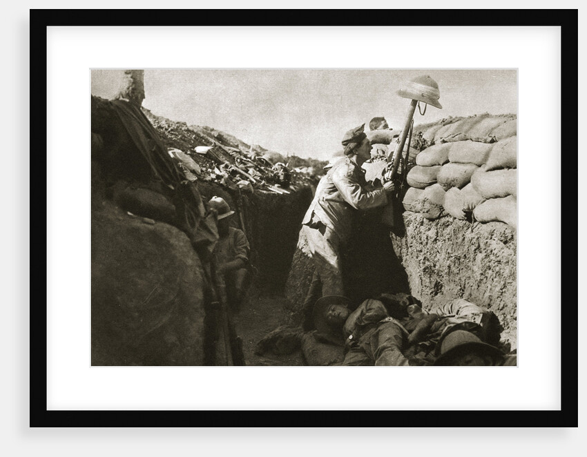 A Royal Irish Fusilier teases a Turkish sniper, Gallipoli, Turkey, World War I, c1915-c1916 by Unknown
