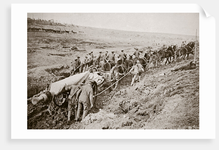 Pulling a big gun with a twelve horse team and the help of the gun crew, France, World War I, 1916 by Unknown
