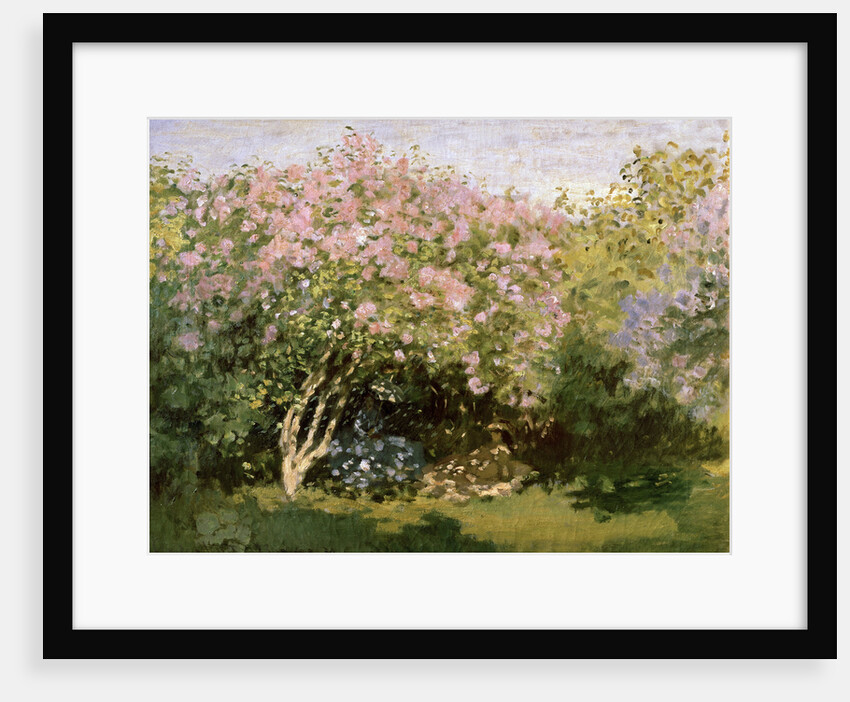 Lilac in the Sun, 1872-1873. by Claude Monet