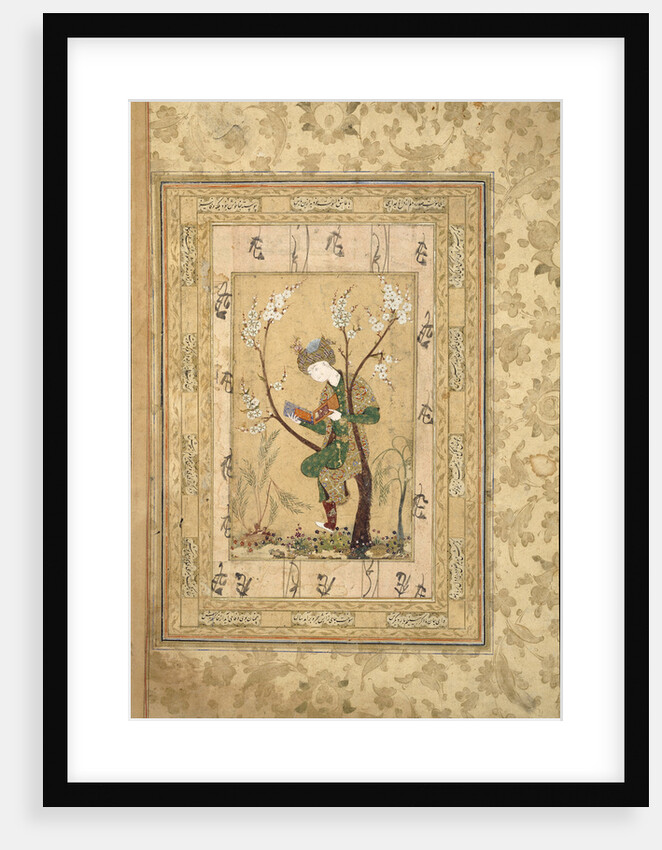 Youth Seated in the Fork of a Blossoming Tree, 1560s by Unknown