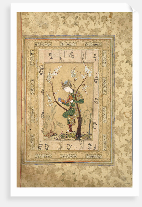 Youth Seated in the Fork of a Blossoming Tree, 1560s by Unknown