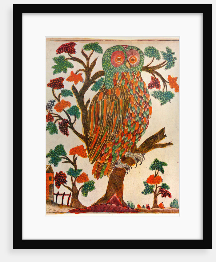Owl, Lubok print by Anonymous
