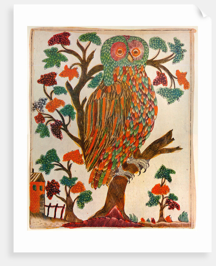 Owl, Lubok print by Anonymous