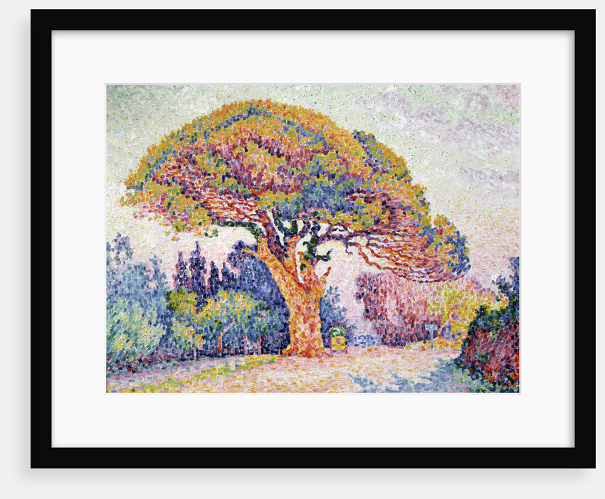 Le Pin de Bertaud at Saint-Tropez, 1909. by Paul Signac