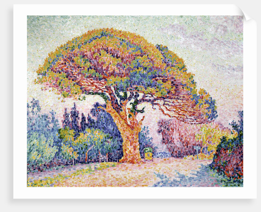 Le Pin de Bertaud at Saint-Tropez, 1909. by Paul Signac