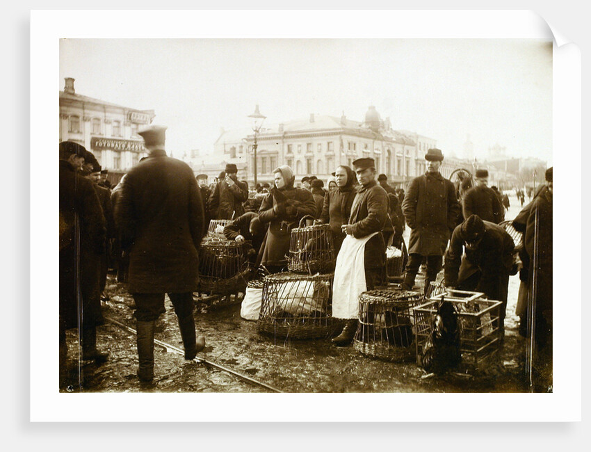 Bird market, Trubnaya Square, Moscow, Russia, 1908 by Unknown