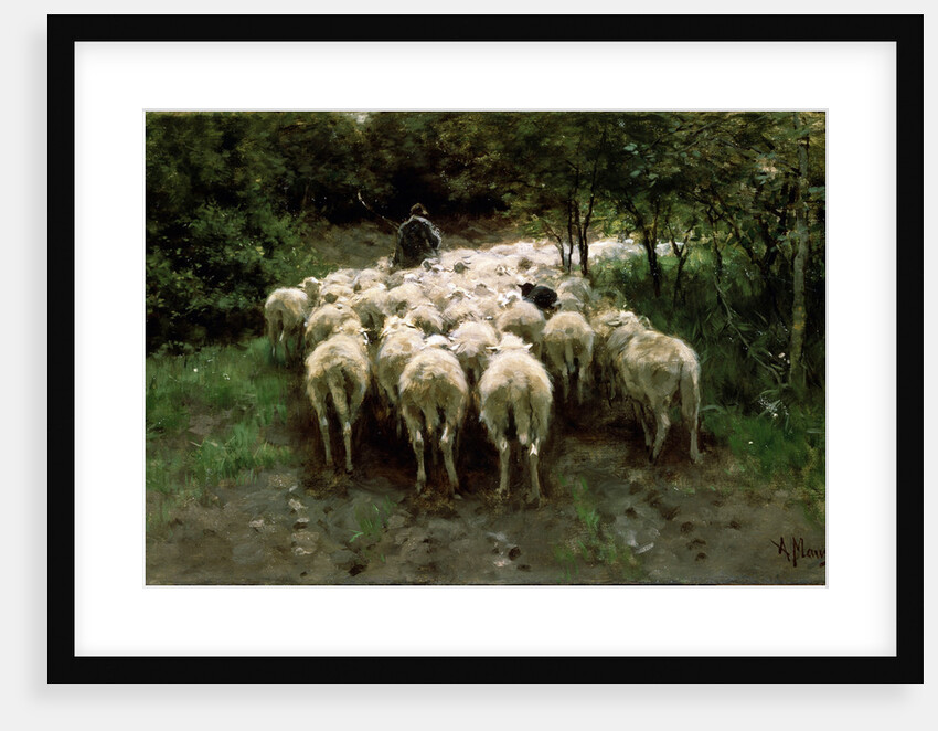 Sheep in the Forest, 19th century. by Anton Mauve