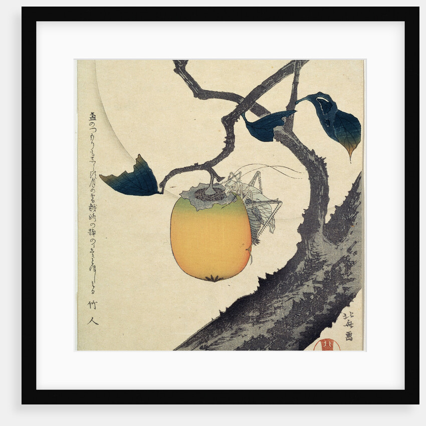 Moon, Persimmon and Grasshopper by HOKUSAI
