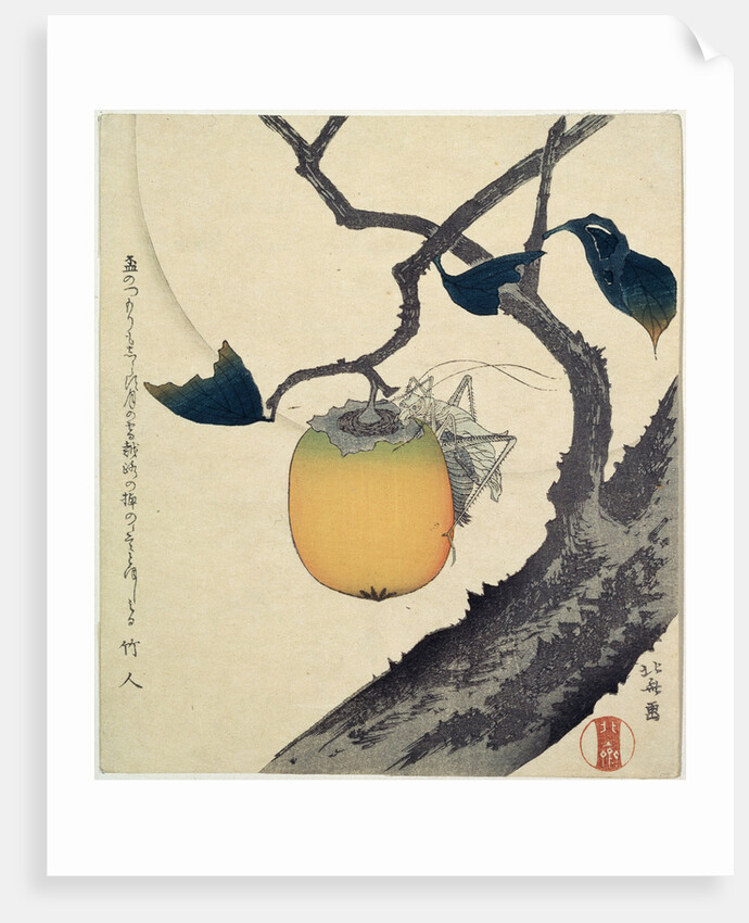 Moon, Persimmon and Grasshopper by HOKUSAI