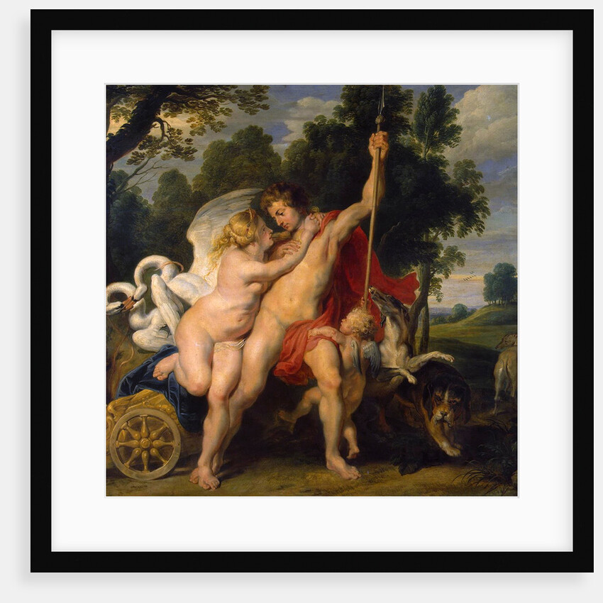 Venus and Adonis, c1614 by Peter Paul Rubens