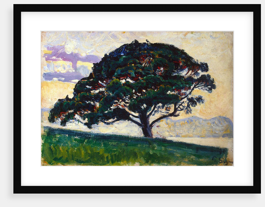 Large Pine, Saint-Tropez, 1892-1893. by Paul Signac