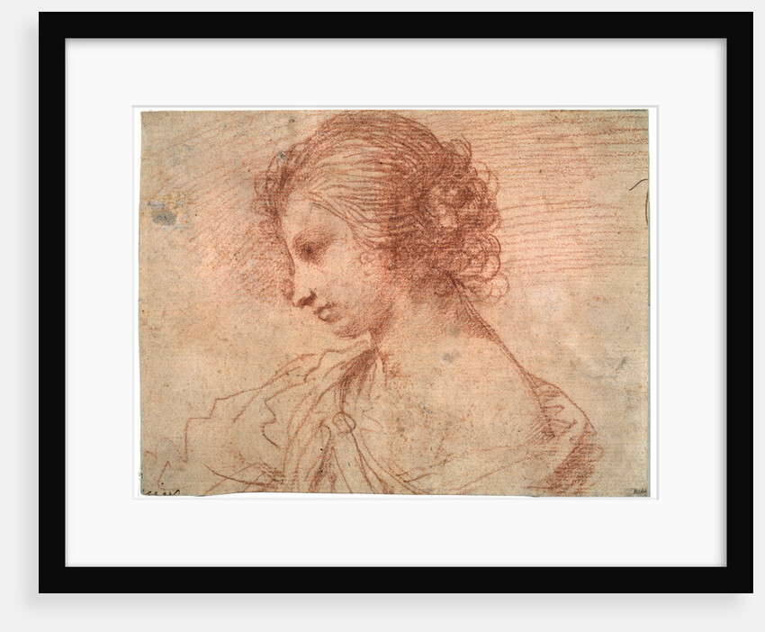 Breast portrait of a young female, 17th century by Guercino