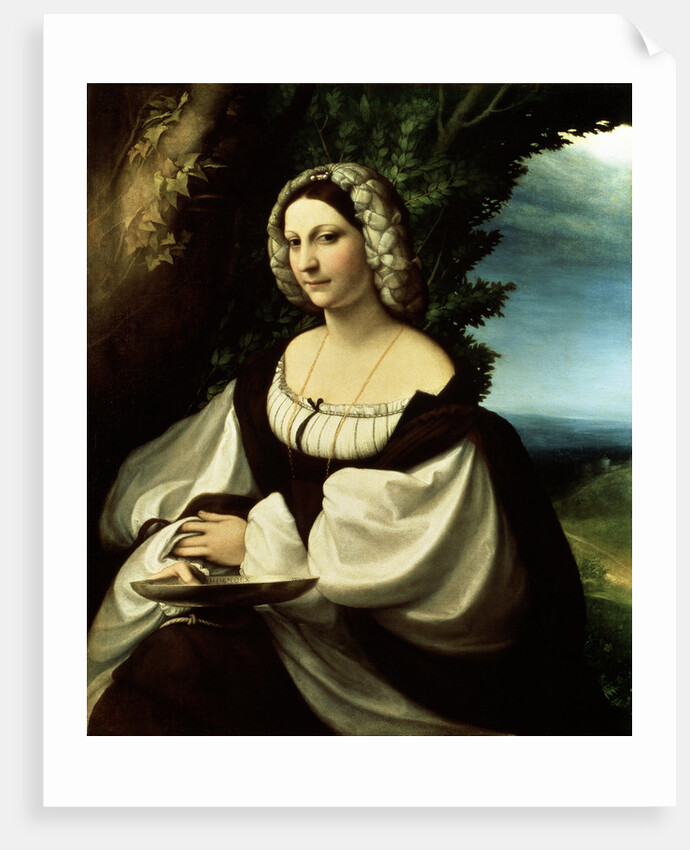 Female portrait, c1518. by Correggio