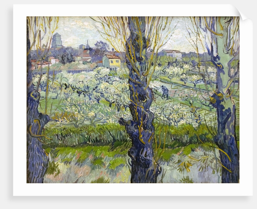 Orchard in Blossom with View of Arles by Vincent Van Gogh