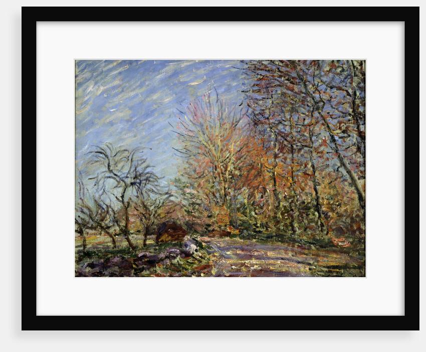 At the edge of the forest in Fontainebleau, 1885. by Alfred Sisley