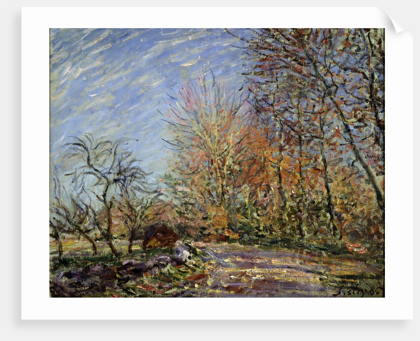 At the edge of the forest in Fontainebleau, 1885. by Alfred Sisley