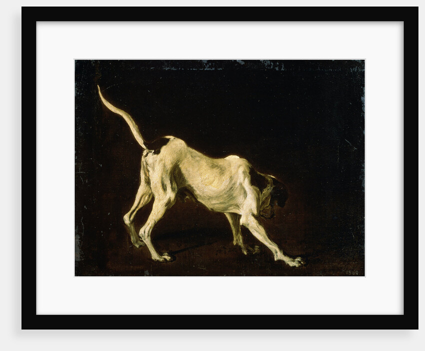 A Dog, 17th century by Frans Snyders