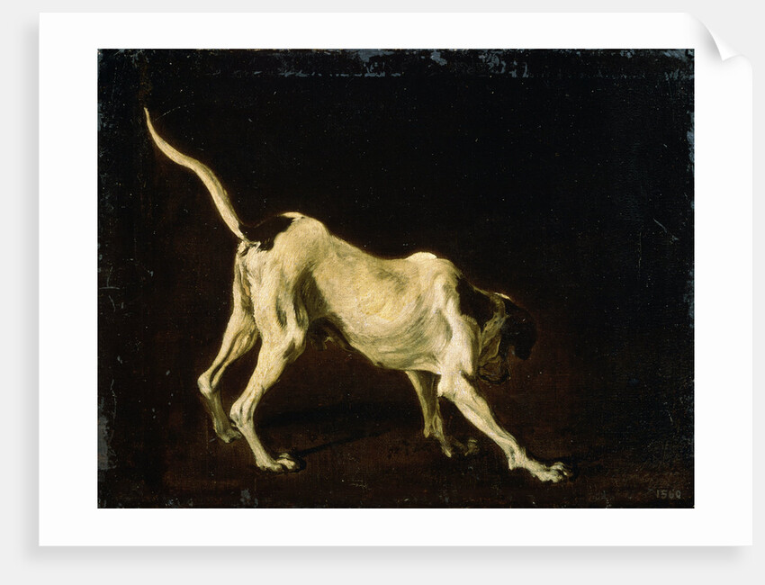A Dog, 17th century by Frans Snyders
