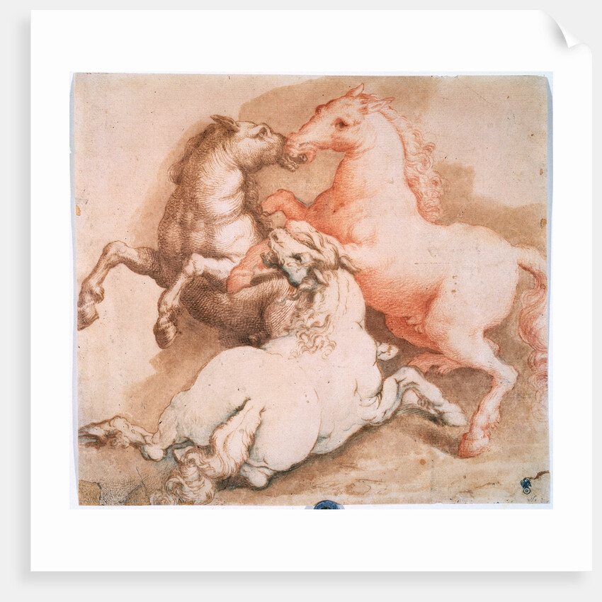 Fighting Horses, c1550-1600 by Unknown Old Master